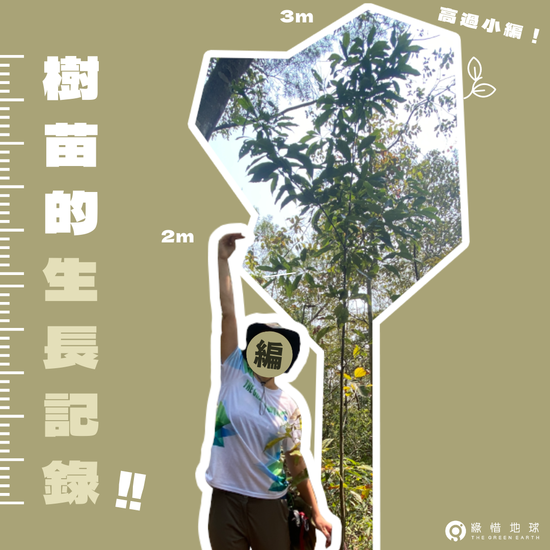 Collecting Unused Bamboo Chopsticks (2023/02/28)